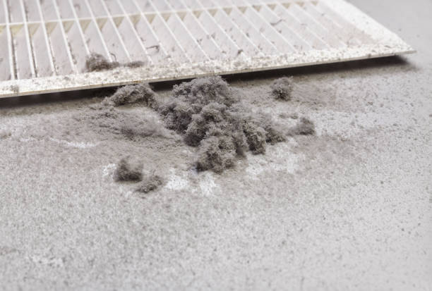 Best Emergency Air Duct Cleaning  in Bluffton, OH