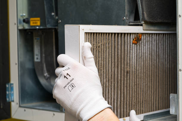 Best Home Air Vent Cleaning  in Bluffton, OH