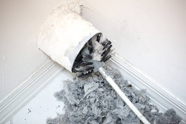 Best Home Air Vent Cleaning  in Bluffton, OH